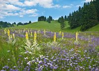 За Природата