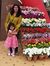 Sadia N...
