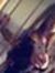 Desiree...