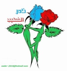 Nader Alkhtib
