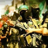 وليد أحمد رشوان