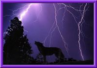 Storm Dancer