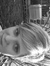 Shauna Closen