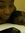 Lanell ...