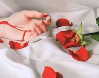 السيد جووكر