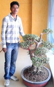 Shatrughan Bhagat