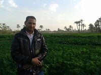 عبدالرحمن البرعصي