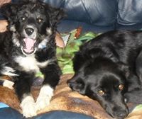 Lucie Robichaud bubar