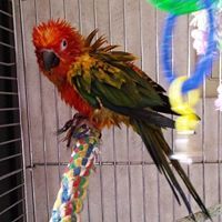 Heather Mitchell dunlap