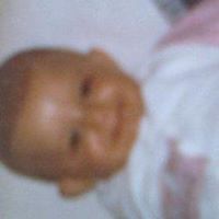 فادي الهندي