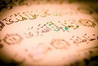 عبيدي رضوان