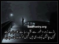 Mohsin Rasool