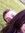 Melis D...