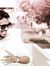 Vasanth...