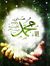 Ahmad J...