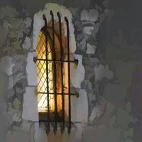 شادي المنير