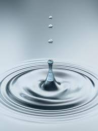 محمدأحمد الصباري