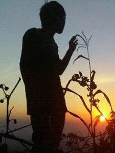 Ram'z D'jungleboy