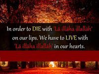 Ummi Ht