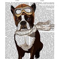 Sandra Kirkendall killik