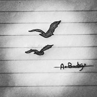 Ahmed Badry