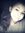 Diana S...