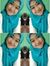 Faza Lu...
