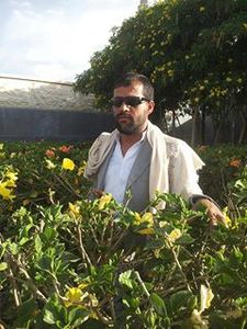 يحيى الجلعي