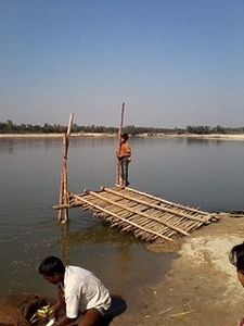 সবুজের রং