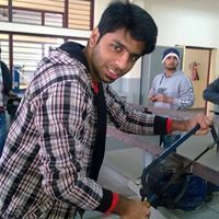 Parth Walia