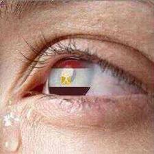 نشوى عبدالحليم