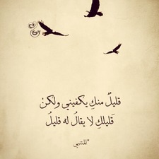 Lama Sh