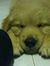 Meileng...
