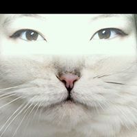 Хайрцаг Дүүрэн