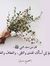 Elham G...