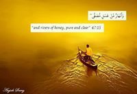 Ahmed Elgendy