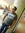 Ninad