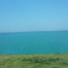 محمد القباطي