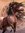 Suzie Dodd | 2 comments