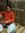 Vivek Pandey | 1 comments