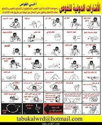 محمودالسليماني مدرب غوص