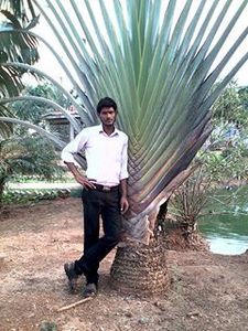 Swarup Vvm