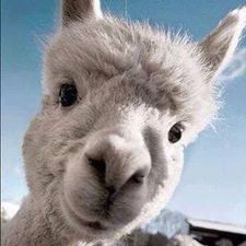 Christopher Randolph