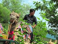 Avinash Tripathy