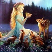 Mohammad Ameerunnisa