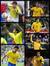 Ricardo...