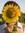 Ethan Arpi