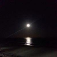 الشاعر عبدالقادر