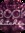 Jennifer LaFon - Book Bitches Blog