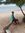 Sahan S...